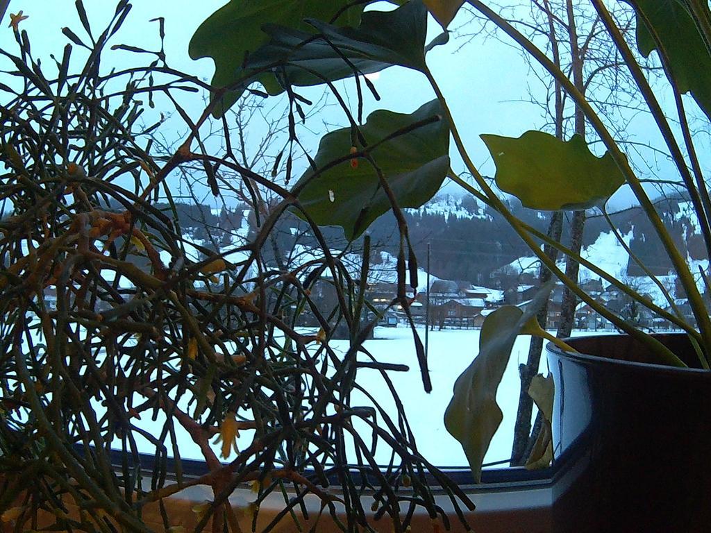 Alpenblick Schattwald Exterior foto